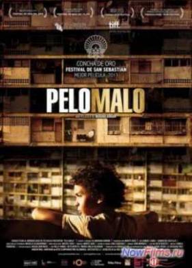 �������� �������� / ������ �������� (2013)