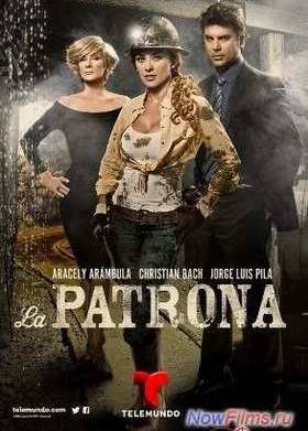 ������� (1 �����) (2013) 1 �����