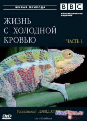 BBC: ����� � �������� ������ (2008)