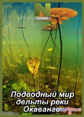 ��������� ��� ������ ���� �������� (2014)