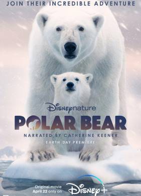 ����� ��������� (2022)