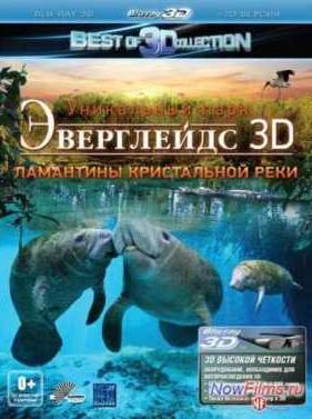 ���������� 3D: ��������� ����������� ���� (2012)