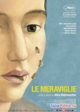 ������ (2014)