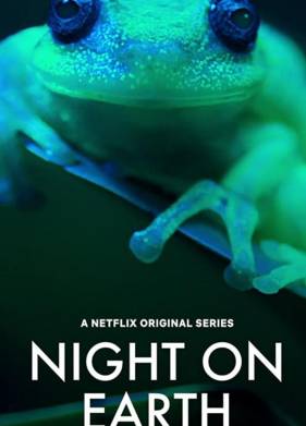 ���� �� ����� (2020)