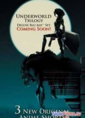 ������ ���. ����������� ����� (2011)