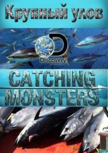 Discovery. ������� ���� (2015)