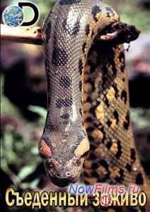 ��������� ������ (2014)