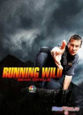 ��������� � ������ �������� (2017) 1-4 �����