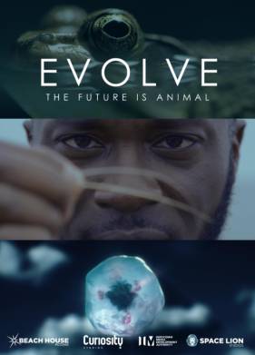 �������� (2021)