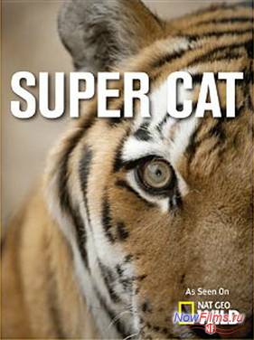 ���������� (2013)