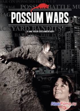 ��������� �������� (2013)