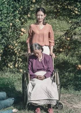 ������� �������� (2020)