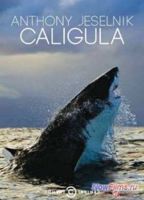 ������ ����������: �������� (2013)