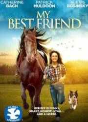 ��� ������ ���� (2016)