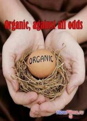 ����� �� �������� (2011)