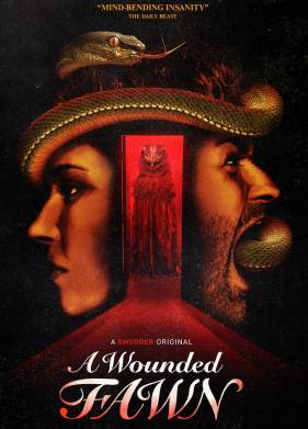 ������� �������� (2022)