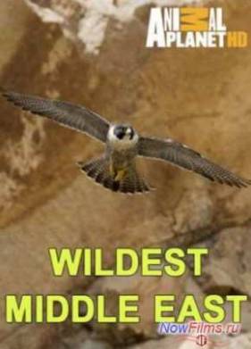 ������� �������� ������� (2014)