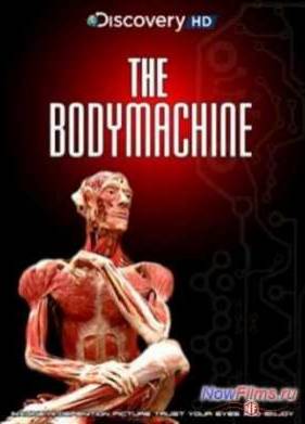 Discovery: ��������� ��������� (2008)