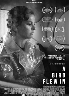 ������� ����� (2021)