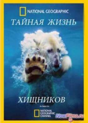 ������ ����� �������� (2013) 1,2,3,4 �����