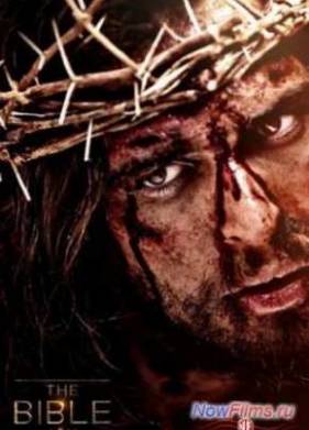 ������ (2013)