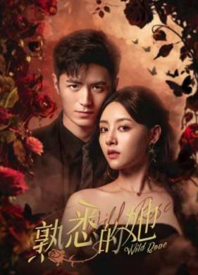 ����� ���� (2025)