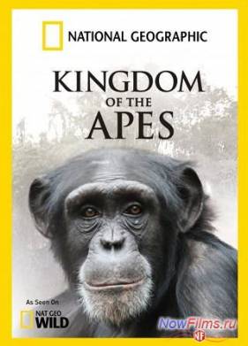 ����������� �������: ���� �� ����� (2014)