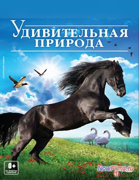 ������� ����: ����� �������� ����� ������ (2012)