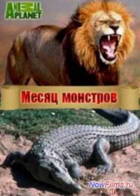 ����� �������� (2014)