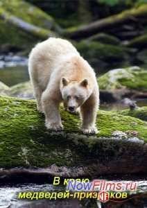 � ���� ��������-��������� (2012)