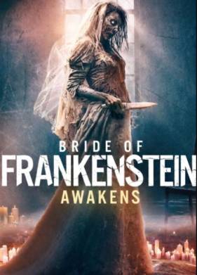 ����������� ������� ������������� (2025)