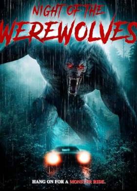 ���� ��������� (2025)