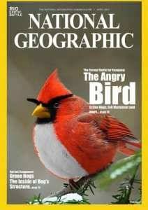 �������� ���� ����� (2014)