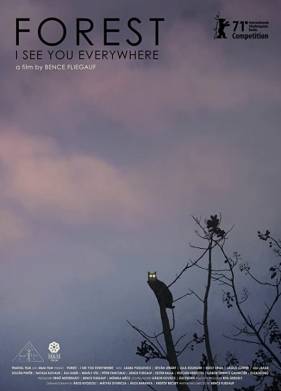 ���: ���� ���� ������� (2021)