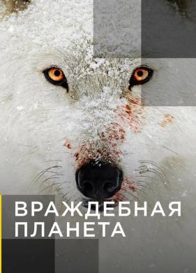 ���������� ������� (2019)