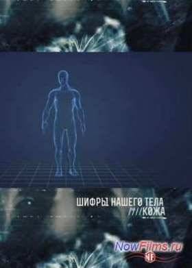 ����� ������ ����. ���� (2013)