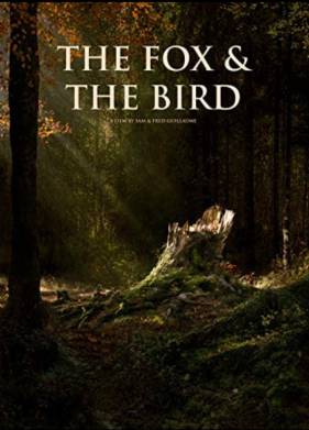 ���� � ����� (2019)