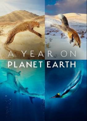 ��� �� ������� ����� (2022)