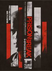 ����� �� ������: ����������� (5 �����) 2017