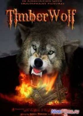 ������ ���� (2015)