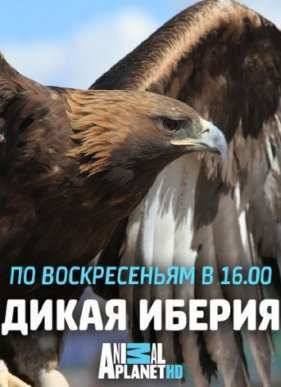 ����� ������ (2014)