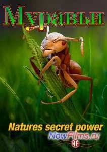 �������: ������ ���� ������� (2005)