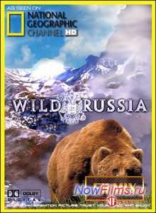 ����� ������� ������ (2009)