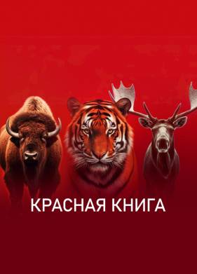 ������� ����� (2022)