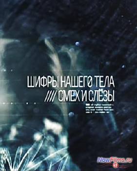 ����� ������ ���� - ���� � ����� (2014)