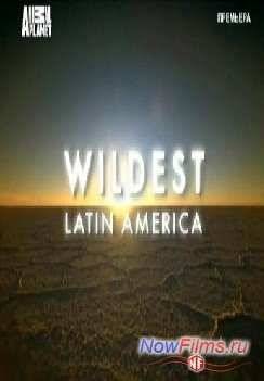 � ������ ��������� ������� (2012)