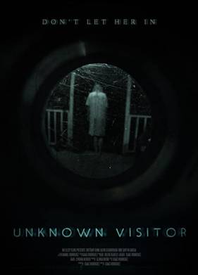 Незнакомый гость (2019)