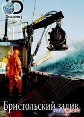 ������������ ����� (2014)