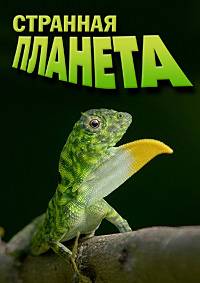 �������� ������� (2024)