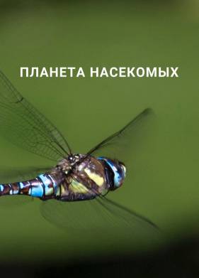 ������� ��������� (2022)